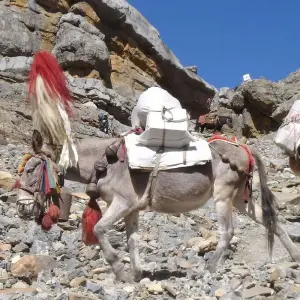 Explore Tilicho Lake and Thorung La Pass Trek for 21 days with Ace the Himalaya and discover unforgettable experiences - Photo 4