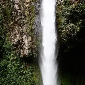 Explore 8-Day Costa Rica Wellness & Adventure Retreat for 8 days with Across Caribbean Excursions  and discover unforgettable experiences - Photo 2