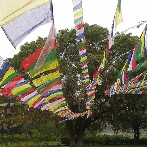 Explore Nepal Highlights for 14 days with Ace the Himalaya and discover unforgettable experiences - Photo 5