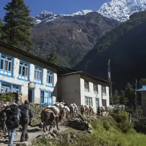 Explore Everest Base Camp with Island Peak for 19 days with Ace the Himalaya and discover unforgettable experiences - Photo 7