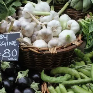 Explore Exclusive Historical Tour of Manaus City for 1 days with Across Caribbean Excursions  and discover unforgettable experiences - Photo 2