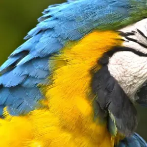 Explore Brazil Adventure: Exploring the Best Destinations 28 Days/27 Nights for 28 days with Across Caribbean Excursions  and discover unforgettable experiences - Photo 3