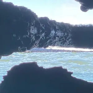 Explore 7 Days/6 Nights Barbados Family Adventure for 7 days with Across Caribbean Excursions  and discover unforgettable experiences - Photo 5