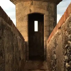 Explore Puerto Rico Family Holiday 7Nights/6Nights for 7 days with Across Caribbean Excursions  and discover unforgettable experiences - Photo 6