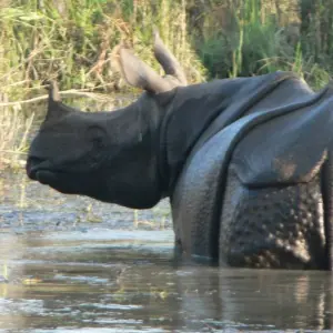 Explore Glimpse of Nepal for 8 days with Ace the Himalaya and discover unforgettable experiences - Photo 4