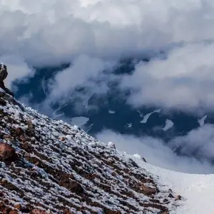 Explore Ultimate Galapagos Escape 8Days/7Nights for 8 days with Across Caribbean Excursions  and discover unforgettable experiences - Photo 8