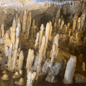 Explore 7 Days/6 Nights Barbados Family Adventure for 7 days with Across Caribbean Excursions  and discover unforgettable experiences - Photo 7