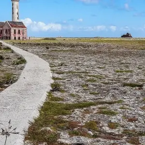 Explore Family Holiday in Curaçao 7Days/6Nights for 7 days with Across Caribbean Excursions  and discover unforgettable experiences - Photo 3
