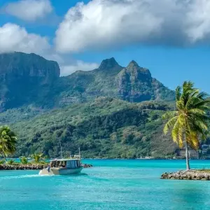 Explore Ultimate Galapagos Escape 8Days/7Nights for 8 days with Across Caribbean Excursions  and discover unforgettable experiences - Photo 9