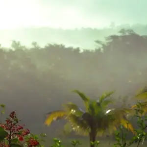 Explore Ultimate Guyana Nature Experience 14 Days/13 Nights for 14 days with Across Caribbean Excursions  and discover unforgettable experiences - Photo 4