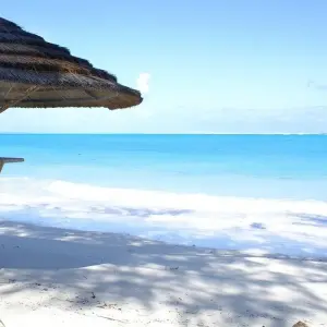 Explore Escape to Turks and Caicos  5Days/4 Nights for 5 days with Across Caribbean Excursions  and discover unforgettable experiences - Photo 3