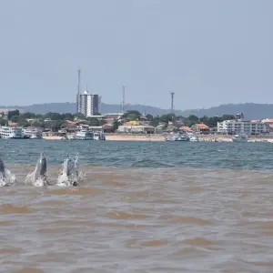 Explore Amazon Rainforest Adventure  4 Days /3nights for 4 days with Across Caribbean Excursions  and discover unforgettable experiences - Photo 3