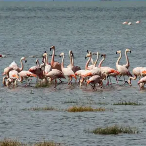 Explore Patagonian Wonders  Expedition 10 Day/9Nights for 10 days with Across Caribbean Excursions  and discover unforgettable experiences - Photo 2