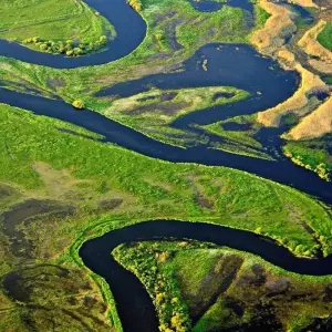 Explore Amazon Rainforest Adventure  4 Days /3nights for 4 days with Across Caribbean Excursions  and discover unforgettable experiences - Photo 4