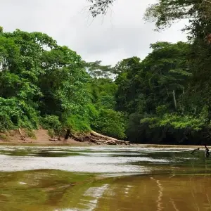 Explore Amazon Rainforest Adventure  4 Days /3nights for 4 days with Across Caribbean Excursions  and discover unforgettable experiences - Photo 5