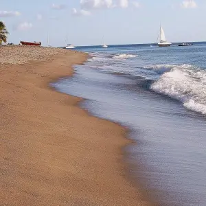 Explore Exploring the Wonders of Martinique 8Days/7nights for 8 days with Across Caribbean Excursions  and discover unforgettable experiences - Photo 4