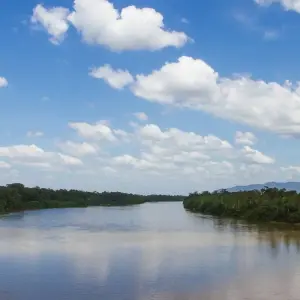 Explore Amazon Rainforest Adventure  4 Days /3nights for 4 days with Across Caribbean Excursions  and discover unforgettable experiences - Photo 6