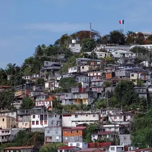 Explore Exploring the Wonders of Martinique 8Days/7nights for 8 days with Across Caribbean Excursions  and discover unforgettable experiences - Photo 5