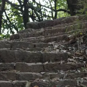 Explore Jamacho Day Hike for 1 days with Ace the Himalaya and discover unforgettable experiences - Photo 5