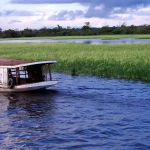 Explore Amazon Rainforest Adventure  4 Days /3nights for 4 days with Across Caribbean Excursions  and discover unforgettable experiences - Photo 7