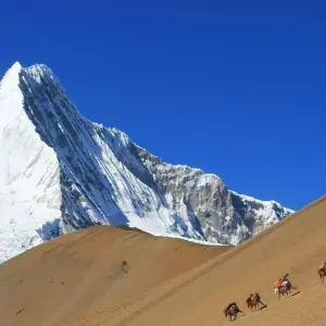 Explore Chomalhari Trek for 12 days with Ace the Himalaya and discover unforgettable experiences - Photo 5