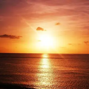 Explore Exploring the Wonders of Martinique 8Days/7nights for 8 days with Across Caribbean Excursions  and discover unforgettable experiences - Photo 7