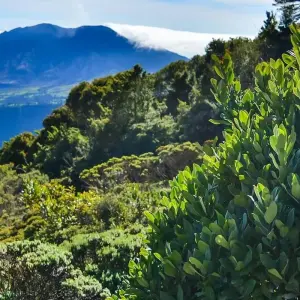 Explore 9-Day Costa Rica Wildlife Adventure: Volcanoes, Cloud Forests, and Pacific Coast for 9 days with Across Caribbean Excursions  and discover unforgettable experiences - Photo 5