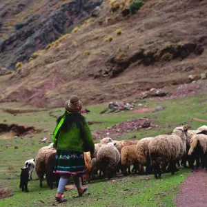 Explore Ancascocha Trek to Machu Picchu 5 Days/4 Nights for 5 days with Action Peru Treks and discover unforgettable experiences - Photo 5