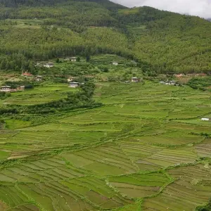 Explore Druk Path for 9 days with Ace the Himalaya and discover unforgettable experiences - Photo 10