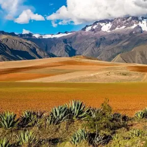 Explore Iconic Peru Tour 6 Days and 5 Nights for 6 days with Action Peru Treks and discover unforgettable experiences - Photo 8