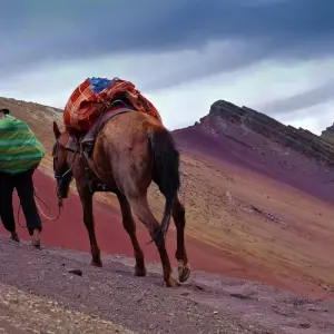 Explore Rainbow Mountain & Red Valley Trek 2 Days/1 Night for 2 days with Action Peru Treks and discover unforgettable experiences - Photo 8