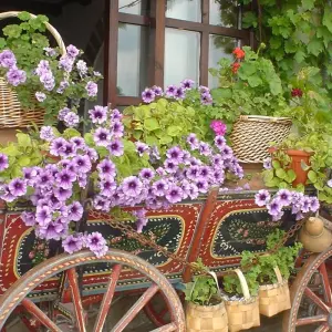 Explore Timeless Treasures by Train: Journey Through Bulgaria’s Heritage and Harmony for 14 days with Across Europe Ltd. and discover unforgettable experiences - Photo 10