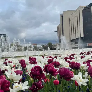 Explore Private Bulgaria tour: by train from Sofia to Bucharest for 7 days with Across Europe Ltd. and discover unforgettable experiences - Photo 6