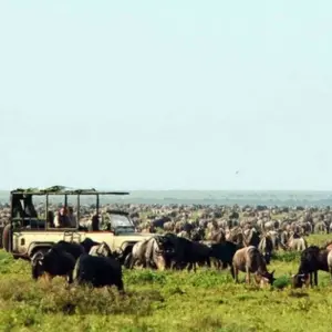 Explore Exotic East African Adventure 7 Days/6 Nights for 7 days with Across Africa Tours & Travel and discover unforgettable experiences - Photo 5