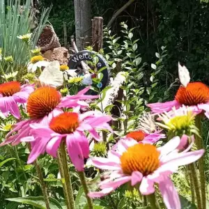 Explore Earthwise Bulgaria tour: by train from Sofia to Bucharest for 12 days with Across Europe Ltd. and discover unforgettable experiences - Photo 9