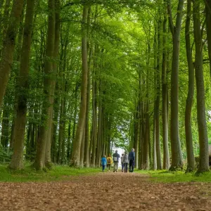 Explore Cycle The Cotswolds and Oxford for 6 days with Active England Tours and discover unforgettable experiences - Photo 8