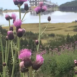 Explore Discover Bulgaria: A Self-Drive Exploration of Its Best-Kept Secrets for 11 days with Across Europe Ltd. and discover unforgettable experiences - Photo 8