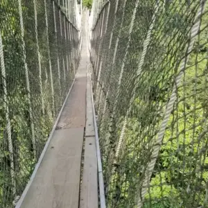 Explore Mega Festival 21-Day Tour of Ghana, Togo, and Benin. for 21 days with Across Africa Tours & Travel and discover unforgettable experiences - Photo 2