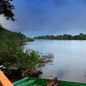 Explore A Journey Through Nature and Wildlife 6 Days/5 Nights for 6 days with Across Africa Tours & Travel and discover unforgettable experiences - Photo 3