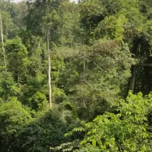 Explore Mega Festival 21-Day Tour of Ghana, Togo, and Benin. for 21 days with Across Africa Tours & Travel and discover unforgettable experiences - Photo 3