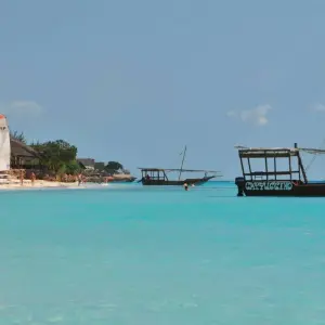 Explore Tanzania & Zanzibar Honeymoon Safari 11 Days/10Nights for 11 days with Across Africa Tours & Travel and discover unforgettable experiences - Photo 3