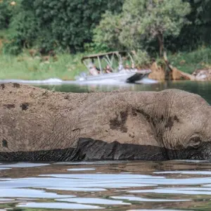 Explore A Journey Through Nature and Wildlife 6 Days/5 Nights for 6 days with Across Africa Tours & Travel and discover unforgettable experiences - Photo 5