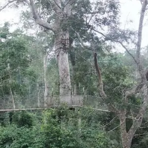 Explore Mega Festival 21-Day Tour of Ghana, Togo, and Benin. for 21 days with Across Africa Tours & Travel and discover unforgettable experiences - Photo 4