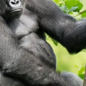 Explore A Journey Through Nature and Wildlife 6 Days/5 Nights for 6 days with Across Africa Tours & Travel and discover unforgettable experiences - Photo 7