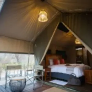 Explore Join Our All-Inclusive 4-Day Safari Through Boteti, Pans & Delta for 4 days with Across Africa Tours & Travel and discover unforgettable experiences - Photo 3