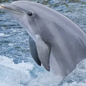 Explore Mozambique Experience 12 Days/11 Nights (Comfort) for 12 days with Across Africa Tours & Travel and discover unforgettable experiences - Photo 10