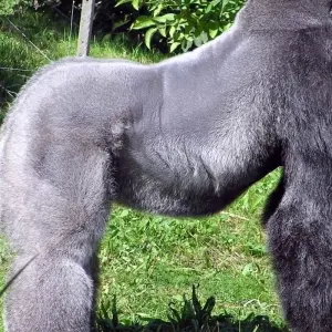 Explore A Journey Through Nature and Wildlife 6 Days/5 Nights for 6 days with Across Africa Tours & Travel and discover unforgettable experiences - Photo 8