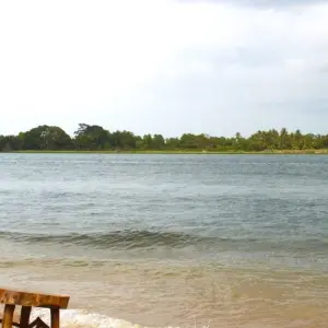 Explore Afrochella Ghana  Festival 8Days/7Nights 2024 for 8 days with Across Africa Tours & Travel and discover unforgettable experiences - Photo 6