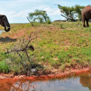 Explore The Perfect Blend of Luxury, Adventure, and Relaxation in Southern Africa 13 Days/12 Nights for 13 days with Across Africa Tours & Travel and discover unforgettable experiences - Photo 8