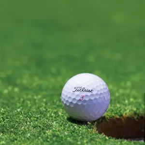 Explore Ultimate South Africa Golf and Safari Adventure 12 Days /11 Nights for 12 days with Across Africa Tours & Travel and discover unforgettable experiences - Photo 5